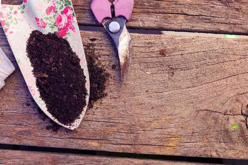 Weed shears and a spade with a finger in it