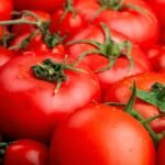 Close-up photo of fresh tomatoes which can be part of the best way to freeze tomatoes