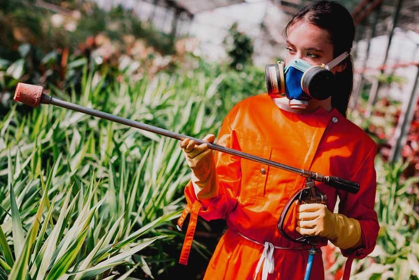 A girl in a costume and a mask will perform the best way to kill grass