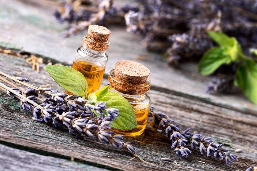 Essential oils in jars with herb placed on wooden board