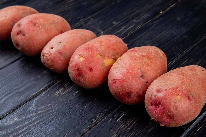 Close-up photo of red potatoes arranged in a straight line