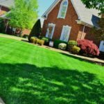 Lawn of a house that has gone through the process of the best way to grow grass