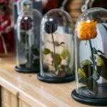 Flowers in glass storage boxes are the best way to preserve flowers