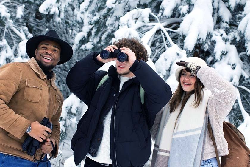 A group of tourists in Alaska looking at something