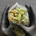 A man with black gloves opens a zip bag full of weed which is the best way to store weed