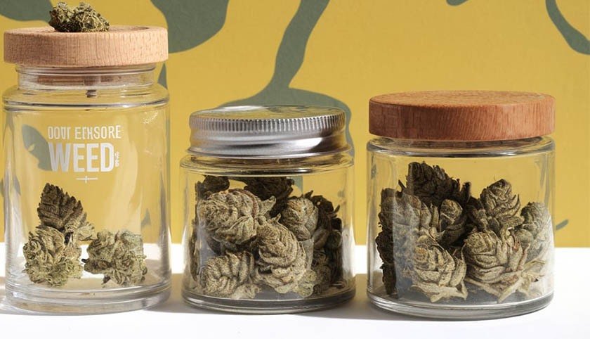 Three jars with weed heads